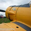 harvard_bam (45).jpg