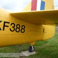 harvard_bam (5).jpg
