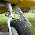 harvard_bam (53).jpg