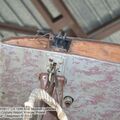 Halberstadt_CL2_0028.jpg