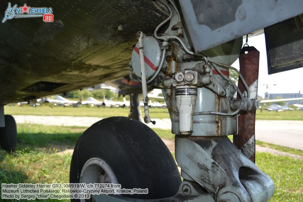 Harrier_GR3_0011.jpg