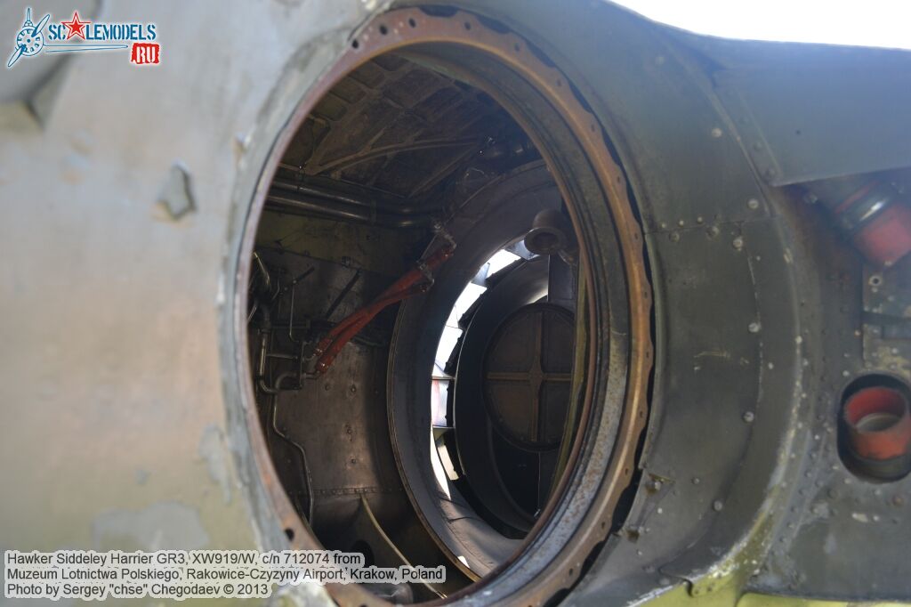 Harrier_GR3_0013.jpg
