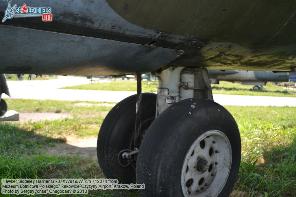 Harrier_GR3_0022.jpg