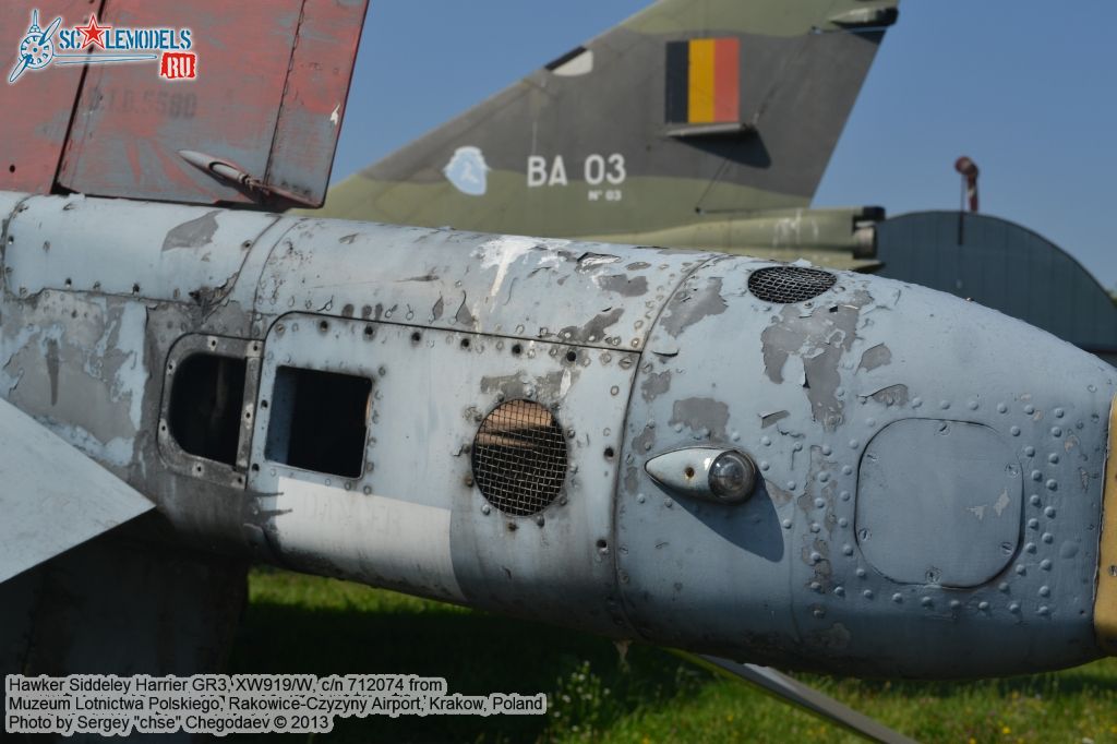 Harrier_GR3_0027.jpg