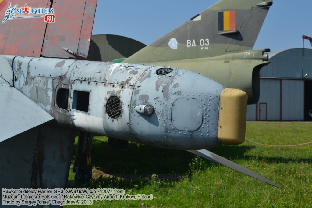 Harrier_GR3_0028.jpg