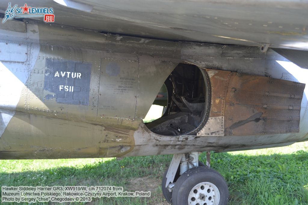 Harrier_GR3_0037.jpg