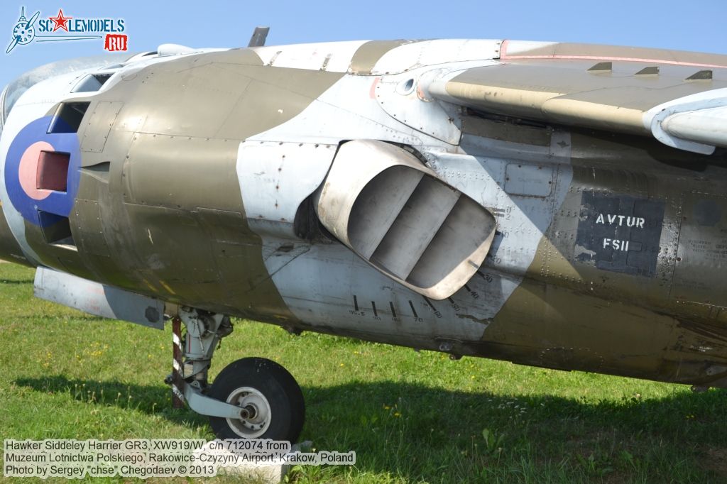 Harrier_GR3_0038.jpg