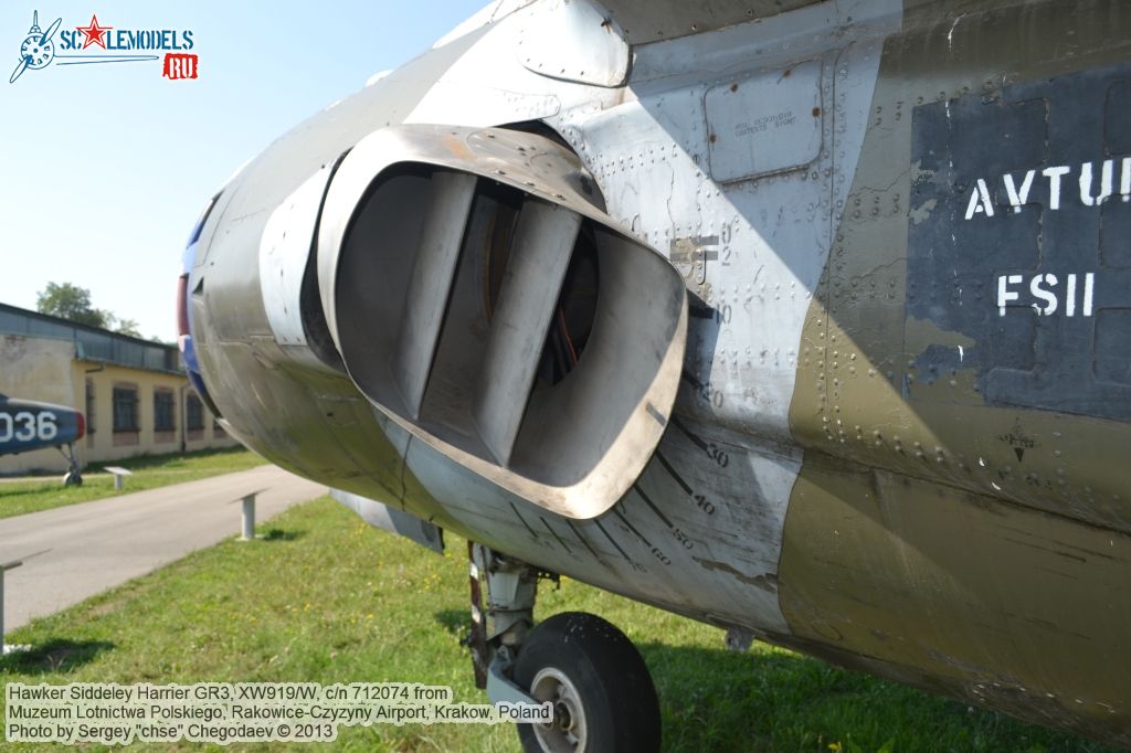 Harrier_GR3_0039.jpg