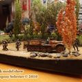 chelyabinsk_show_0115.jpg