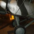 DSC08360.JPG