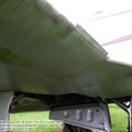 t33_nsam49.jpg