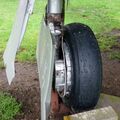 t33_nsam50.jpg