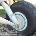 An-2_0043.jpg