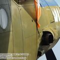 An-2_0222.jpg