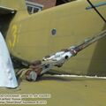 An-2_0295.jpg