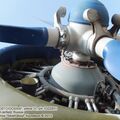 An-2_0317.jpg