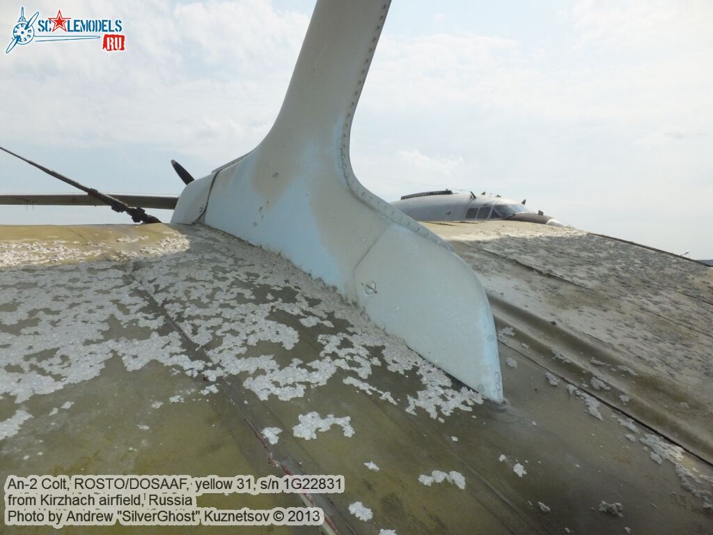 An-2_0259.jpg