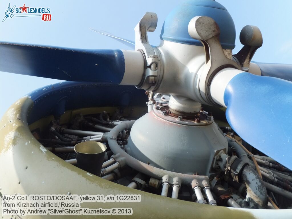 An-2_0317.jpg