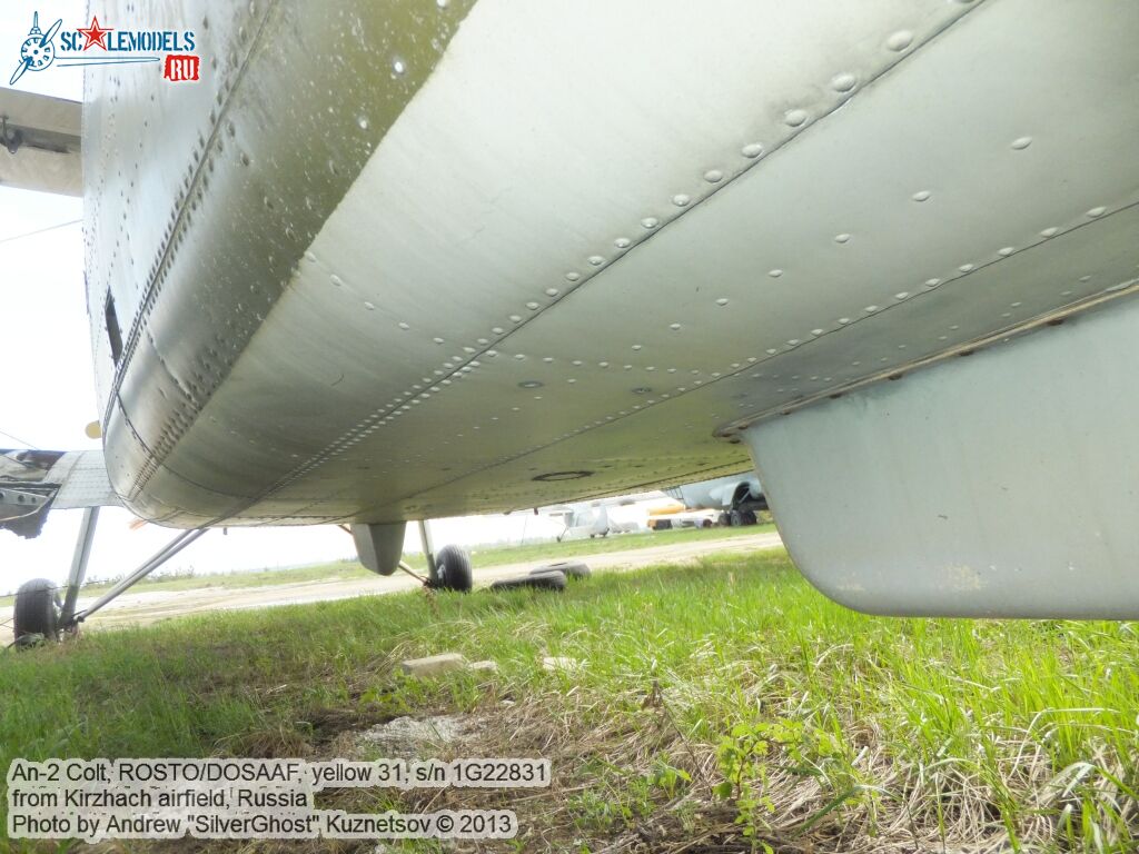 An-2_0186.jpg