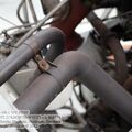 WB4786.jpg