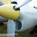 dh10416.jpg