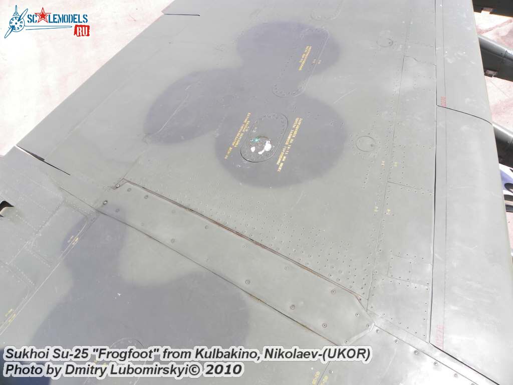 Su-25 Ukraine (11).JPG