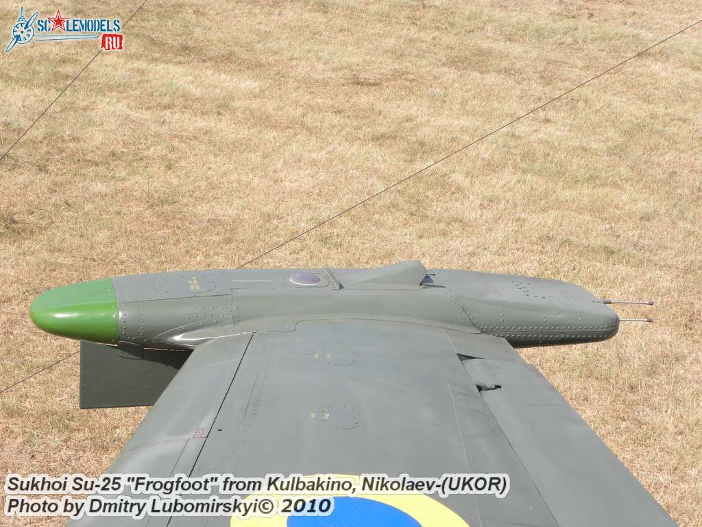 Su-25 Ukraine (15).JPG