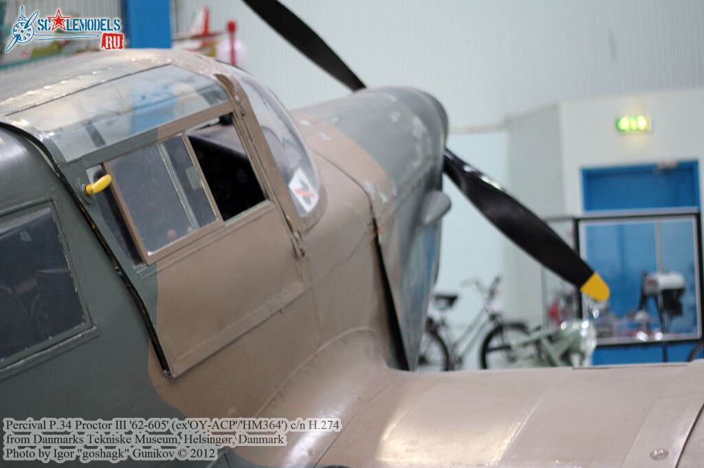 proctor51.jpg