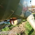 beaver17.jpg