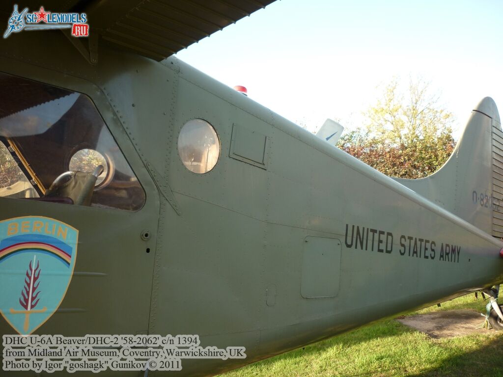 beaver12.jpg