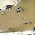DSC01049.JPG
