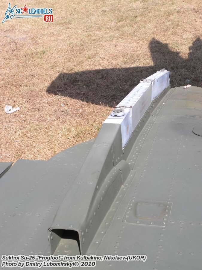 Su-25 Ukraine (40).JPG