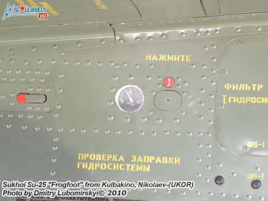 Su-25 Ukraine (41).JPG