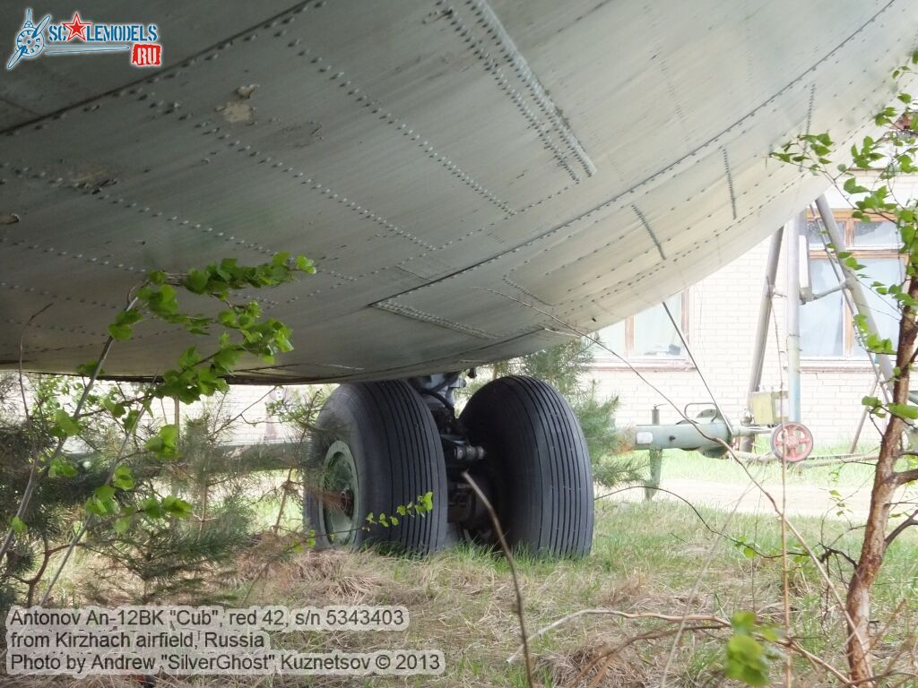 An-12BK_Cub_0234.jpg