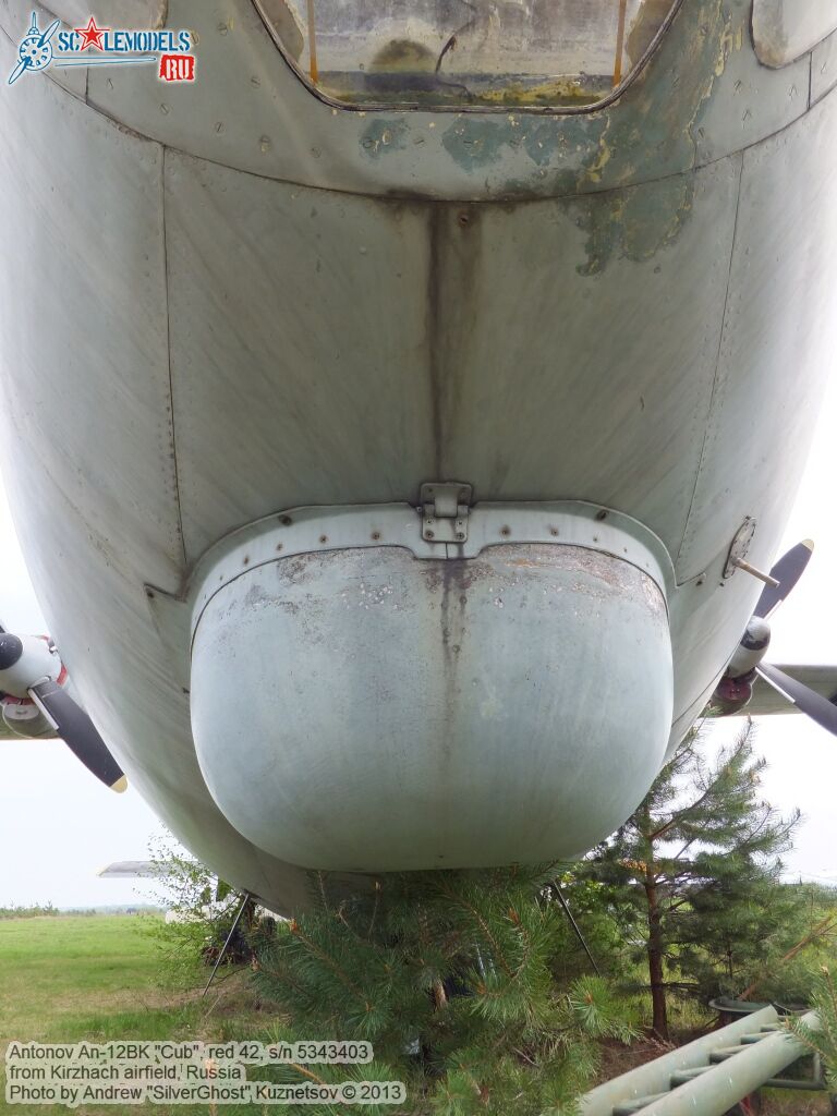 An-12BK_Cub_0394.jpg