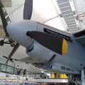 Mosquito_TT35_0009.jpg