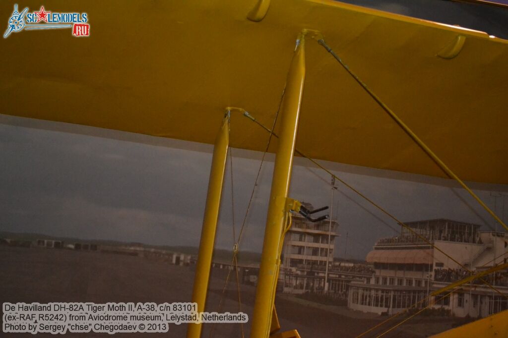 DH82A_Tiger_Moth_0018.jpg