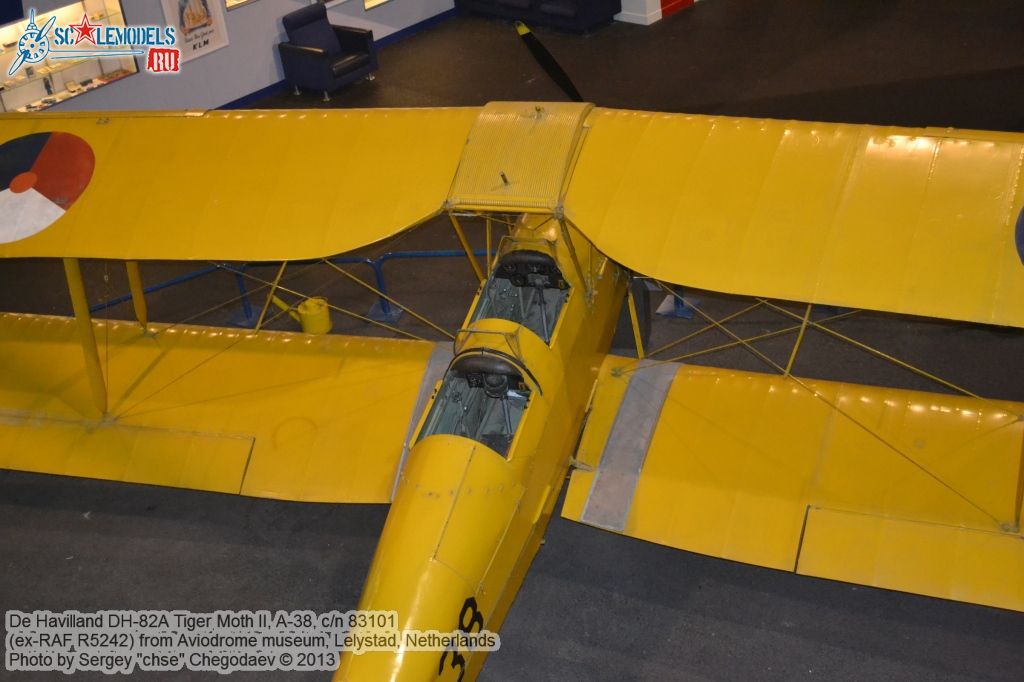 DH82A_Tiger_Moth_0020.jpg