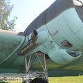 Li-2T_0018.jpg