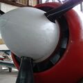DSC01445.JPG