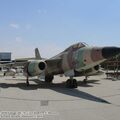 vautour_IIN_0000.jpg