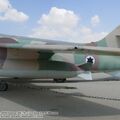 vautour_IIN_0003.jpg
