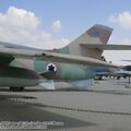 vautour_IIN_0004.jpg