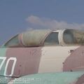 vautour_IIN_0009.jpg