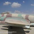 vautour_IIN_0010.jpg