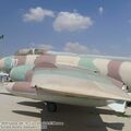 vautour_IIN_0013.jpg