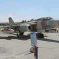 vautour_IIN_0018.jpg
