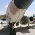 vautour_IIN_0028.jpg