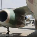 vautour_IIN_0029.jpg
