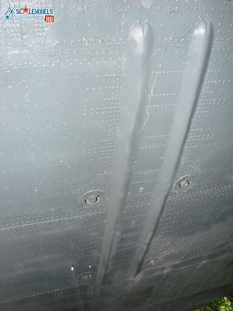DSC01174.JPG
